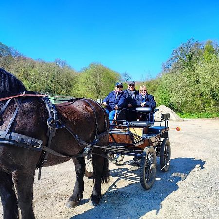 Eco-Gite La Chambre Du Vanneur Mentheville Zewnętrze zdjęcie