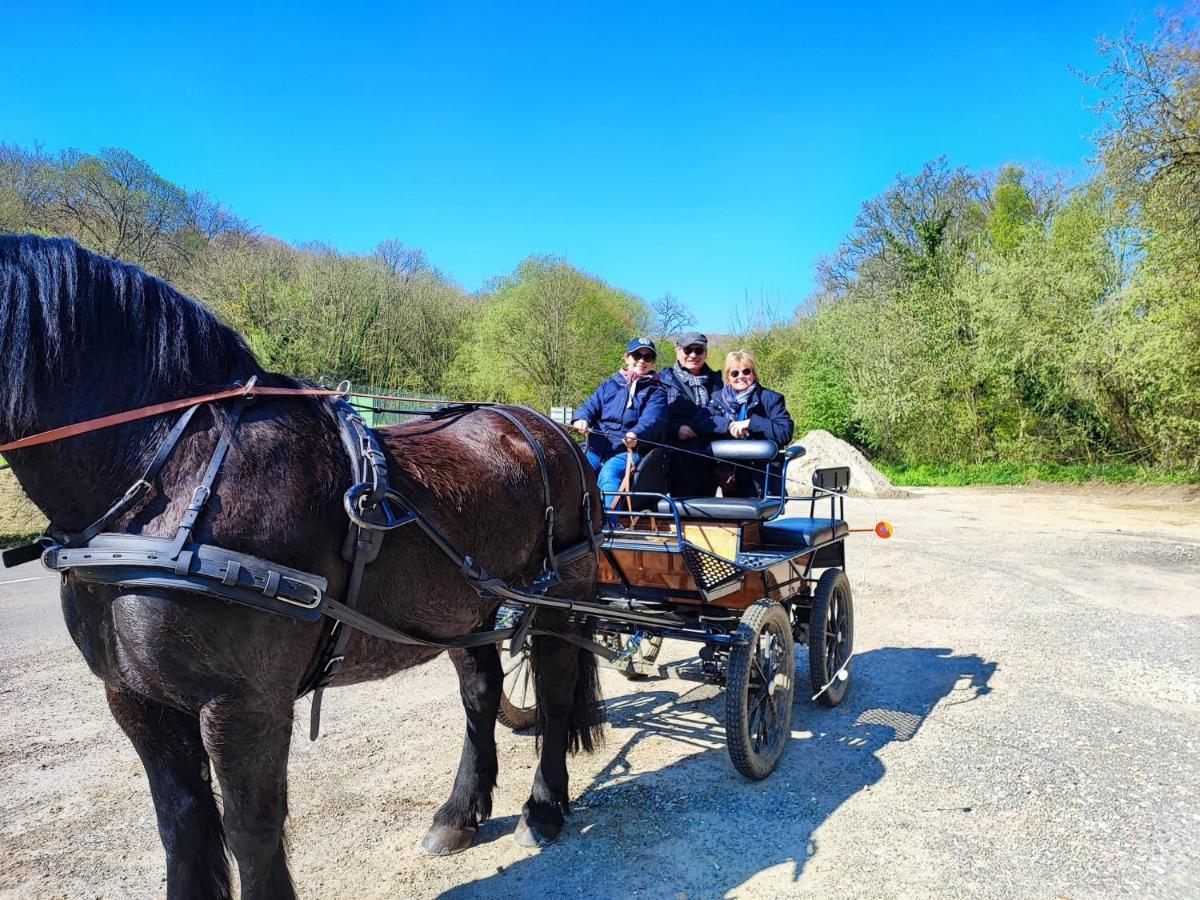 Eco-Gite La Chambre Du Vanneur Mentheville Zewnętrze zdjęcie