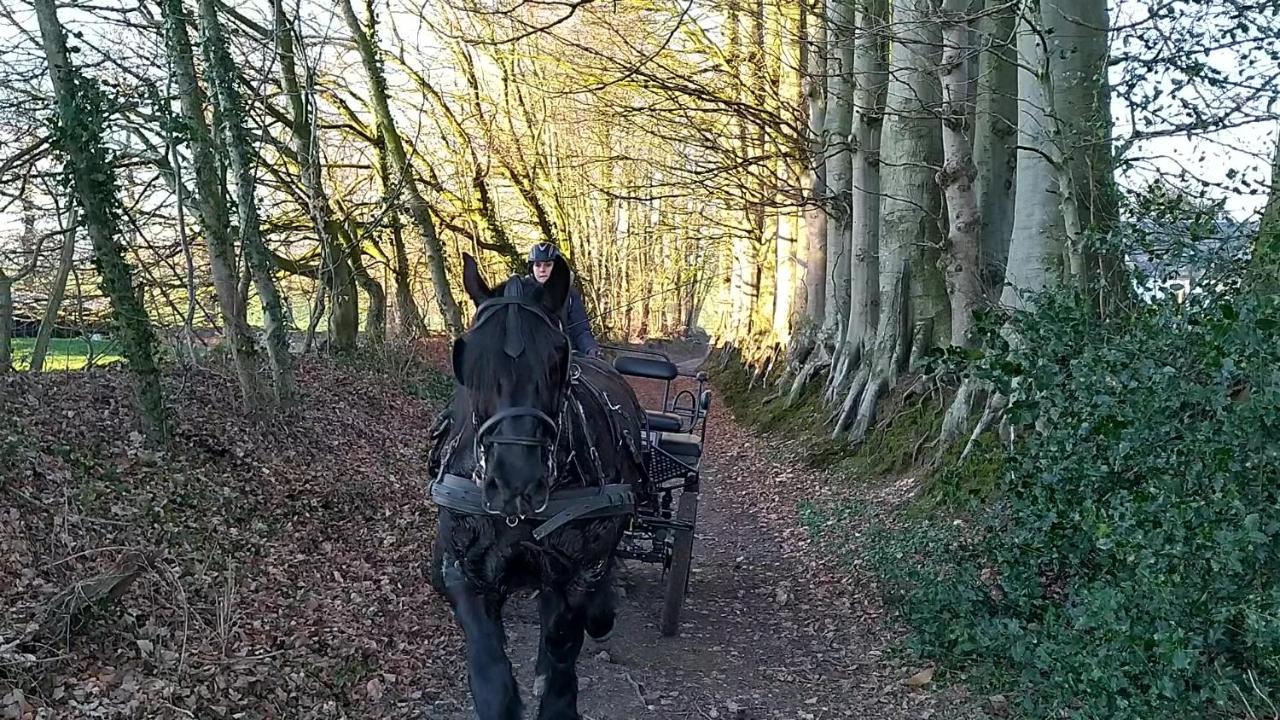 Eco-Gite La Chambre Du Vanneur Mentheville Zewnętrze zdjęcie